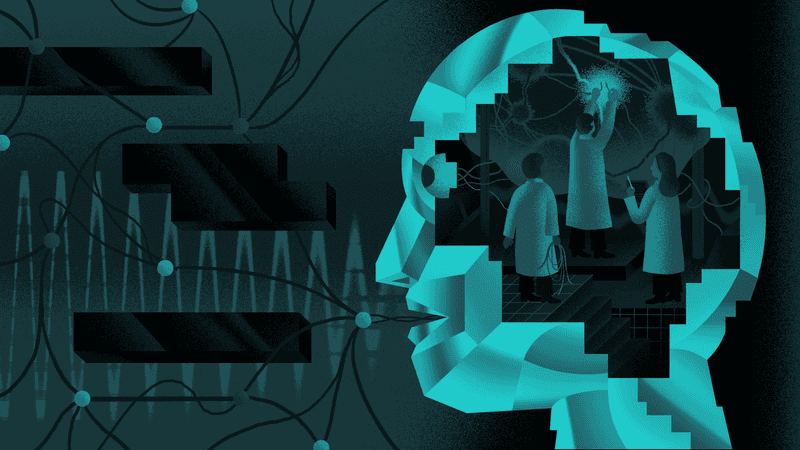 Curated Knowledge Ecosystem